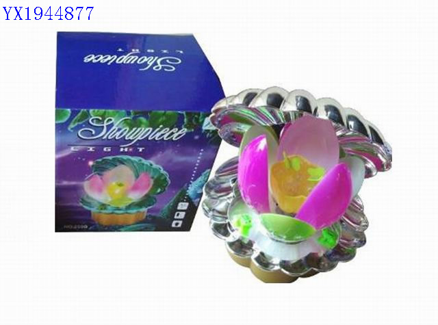 <img src='photo/2010B/YX1944877.jpg'width='400' height='300'>