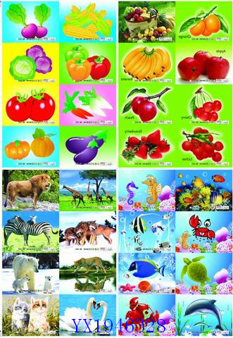 <img src='photo/2010B/YX1946328.jpg'width='400' height='300'>