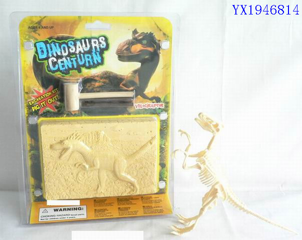 <img src='photo/2010C/YX1946814.JPG'width='400' height='300'>