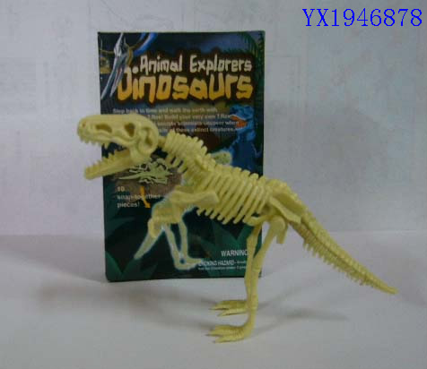 <img src='photo/2010C/YX1946878.JPG'width='400' height='300'>