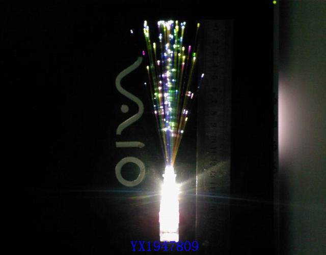<img src='photo/2010C/YX1947809.jpg'width='400' height='300'>