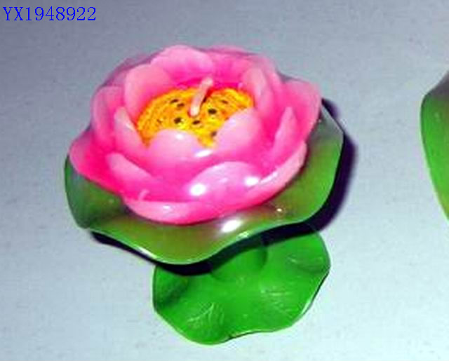 <img src='photo/2010C/YX1948922.jpg'width='400' height='300'>