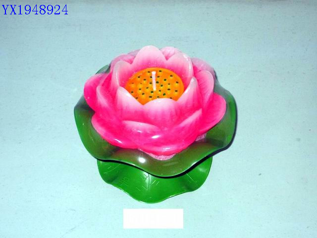 <img src='photo/2010C/YX1948924.jpg'width='400' height='300'>