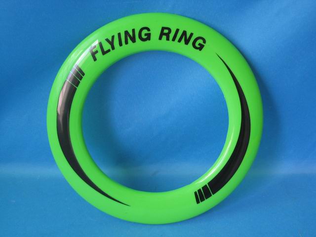<img src='photo/2011/YX1930968.jpg'width='400' height='300'>