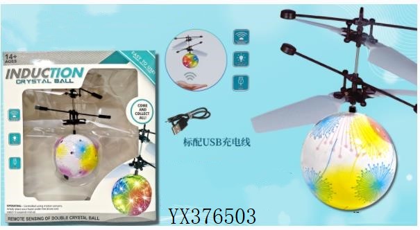 <img src='photo/2024/YX376503.jpg'width='400' height='300'>