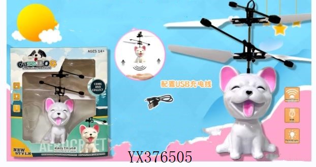 <img src='photo/2024/YX376505.jpg'width='400' height='300'>