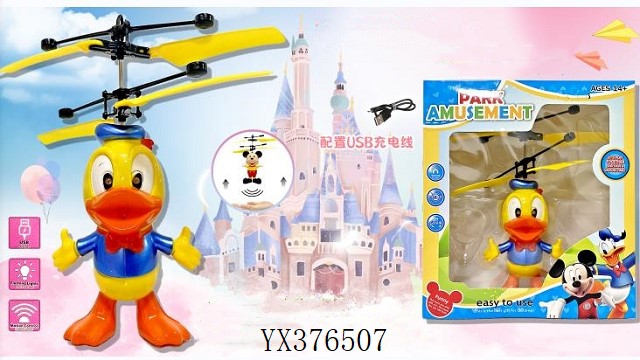 <img src='photo/2024/YX376507.jpg'width='400' height='300'>