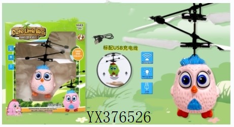 <img src='photo/2024/YX376526.jpg'width='400' height='300'>