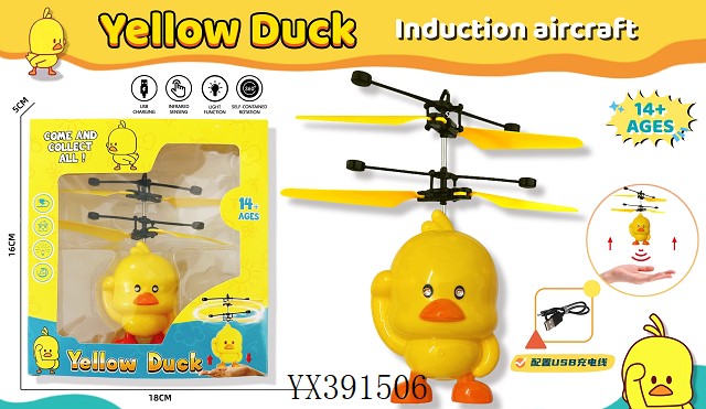 <img src='photo/2024/YX391506.jpg'width='400' height='300'>
