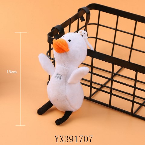 <img src='photo/2024/YX391707.jpg'width='400' height='300'>