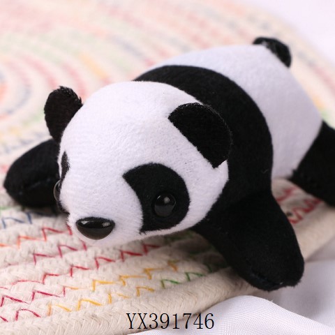 <img src='photo/2024/YX391746.jpg'width='400' height='300'>