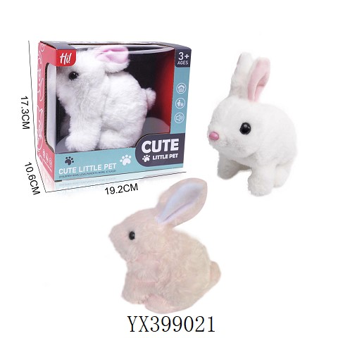 <img src='photo/2025/YX399021.jpg'width='400' height='300'>