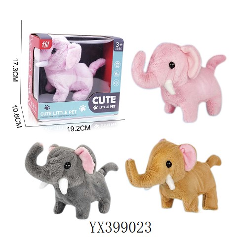 <img src='photo/2025/YX399023.jpg'width='400' height='300'>